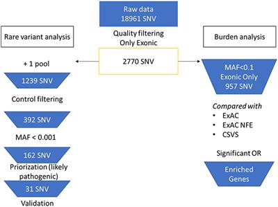 Excess of Rare Missense Variants in Hearing Loss Genes in Sporadic Meniere Disease